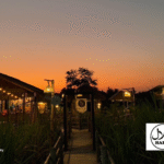 The Best of Both Worlds: Tea, Pizza, and Serenity at Rong Cha Na Ton Tuay